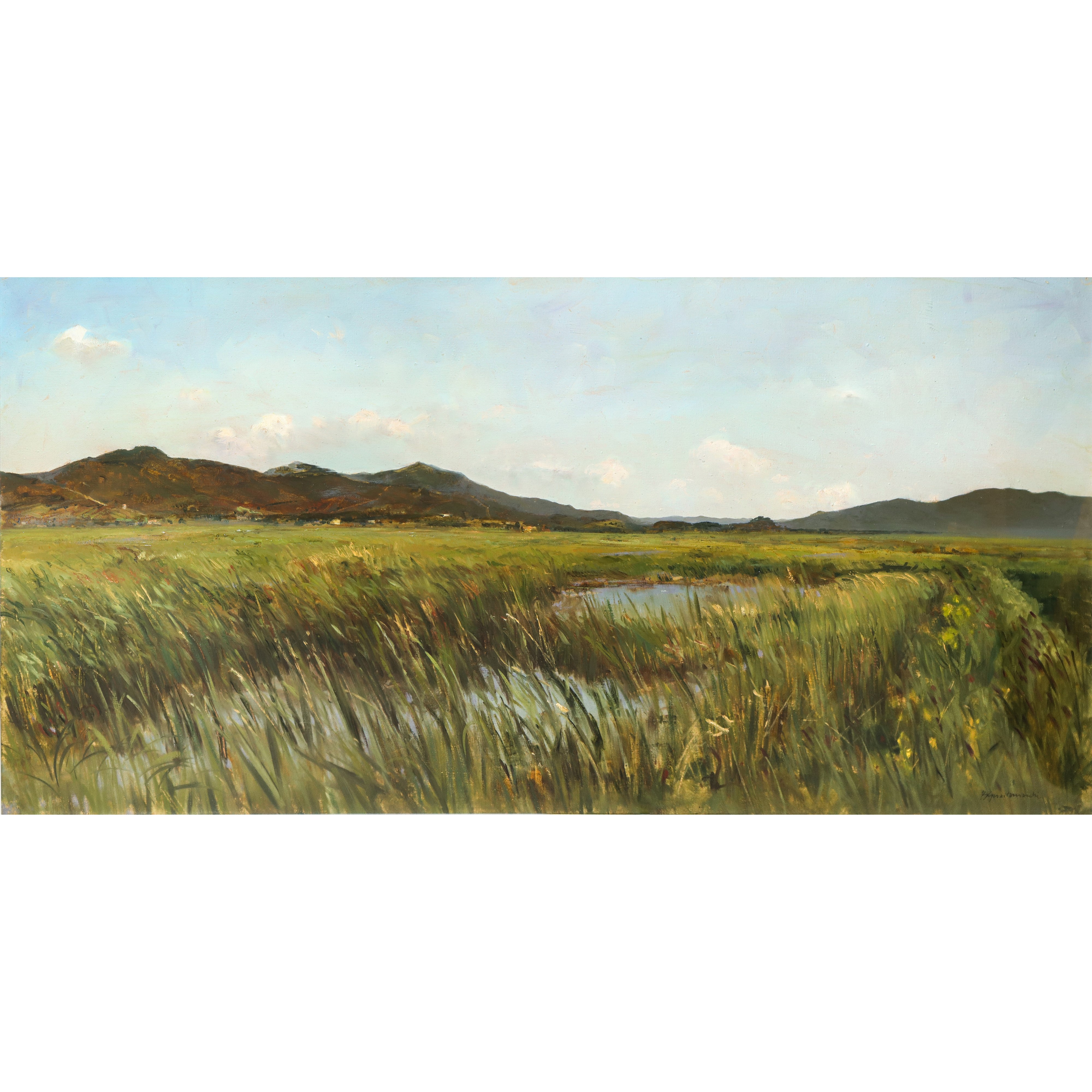 Bruno Guaitamacchi - Marema Toscana: Palude