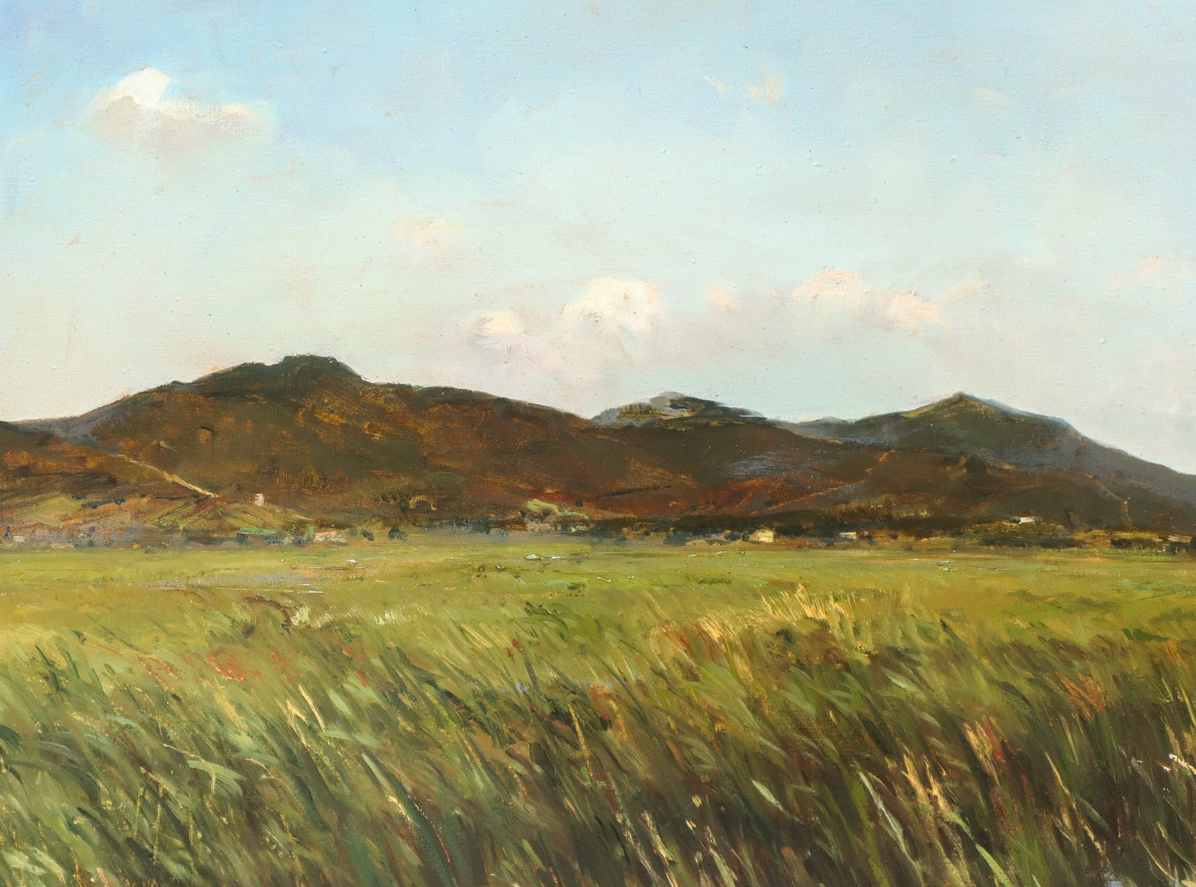 Bruno Guaitamacchi - Marema Toscana: Palude