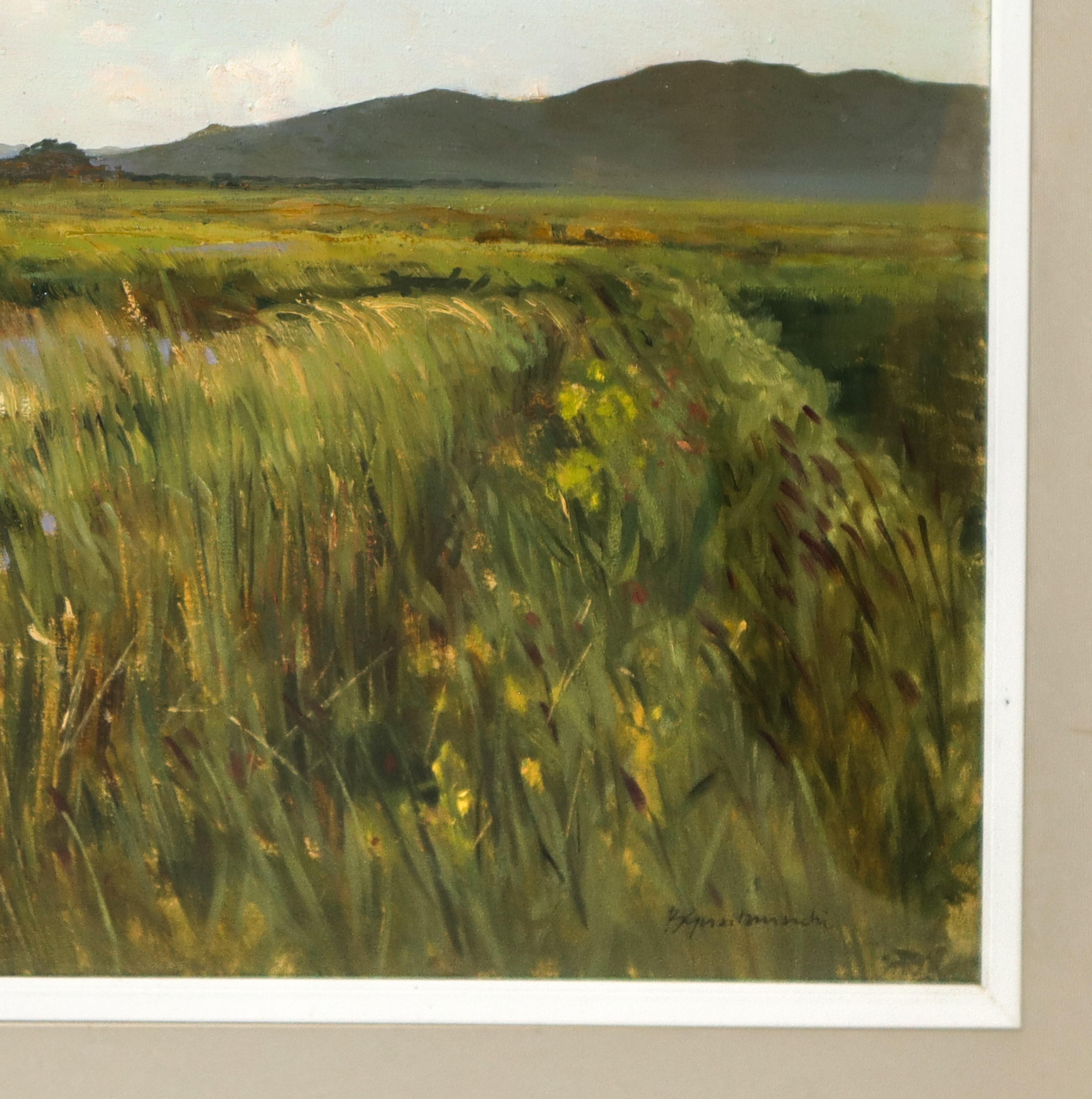 Bruno Guaitamacchi - Marema Toscana: Palude