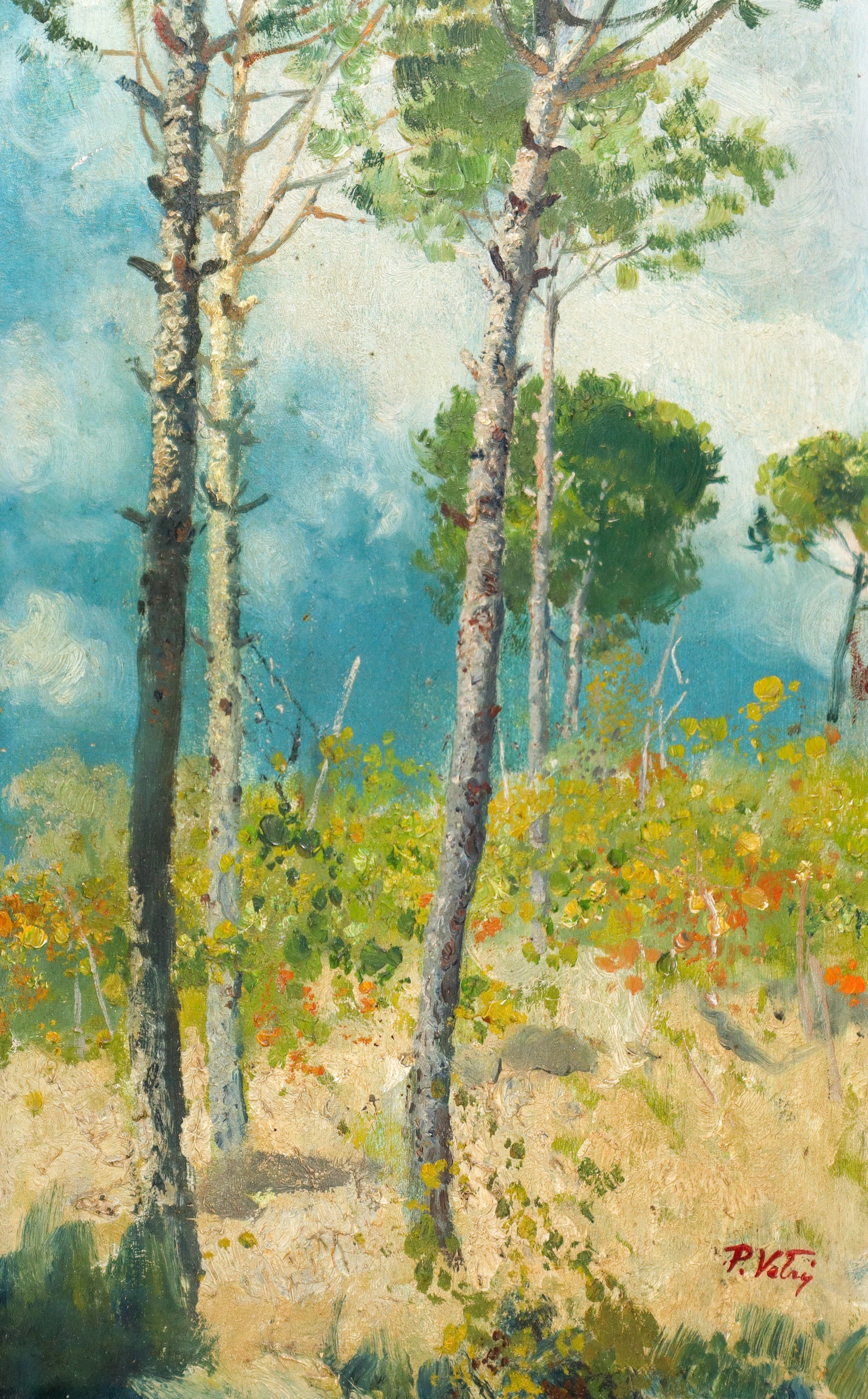 Paolo Vetri - Paesaggio con Alberi