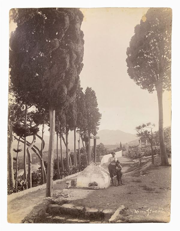 Wilhelm von Gloeden (1856-1931), albumin photos depicting climb trees with Taormina (now Via Luigi Pirandello). Signed and numbered on the front in 2485 on the back. Cm 17x22

"Wilhelm Von Gloeden was a German-born photographer who spent most of his life in Sicily, specifically in Taormina, a city that he chose as a second home. It was the youth health issues to take in the peninsula. Specifically, the choice of Taormina is linked dreamy ideal of Sicily that the photographer releases in his pi