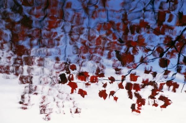Collection AQUA, titled "Red Theme", 2006, slide, 20x30 PDA, Digital Fine Art print on photographic paper mat, USA: NJ, residence for artists to I-Park, reflection of red leaves on a blue lake and white, detail