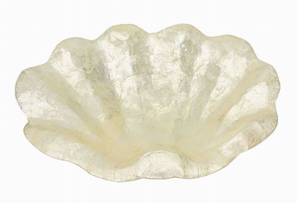 Quattro conchiglie tipo madreperla. Cm 45x29.  Cm 45x29
