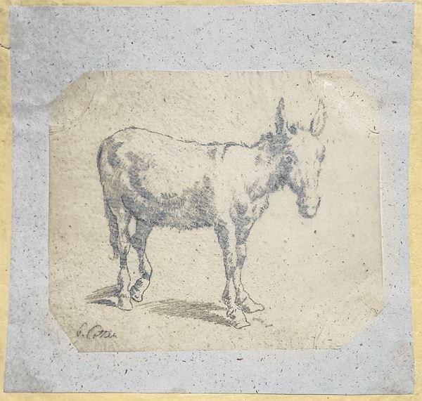 Pencil drawing on vellum paper depicting donkey signed on the lower right George Patten 1801-1805. h 110x 130 mm